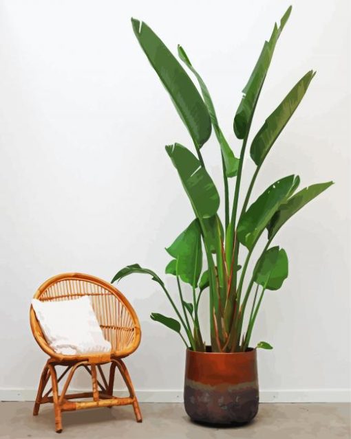 Strelitzia Nicolai Plant paint by number