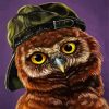 Stylish Owl paint by numbers