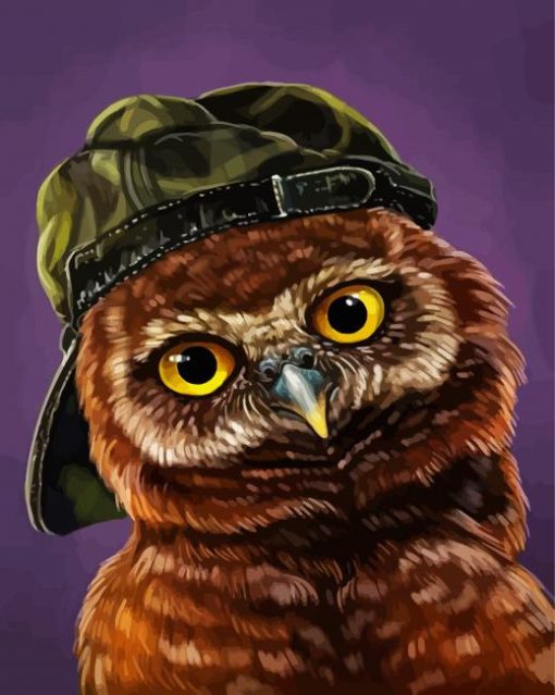 Stylish Owl paint by numbers