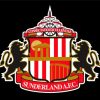 Sunderland AFC Logo paint by numbers