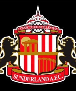 Sunderland AFC Logo paint by numbers