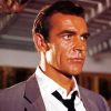 The Actor Sean Connery paint by numbers