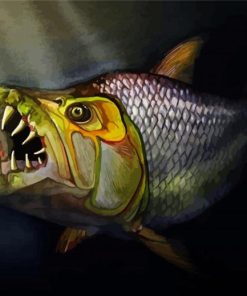 Tigerfish paint by numbers