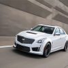 White Cts V paint by number