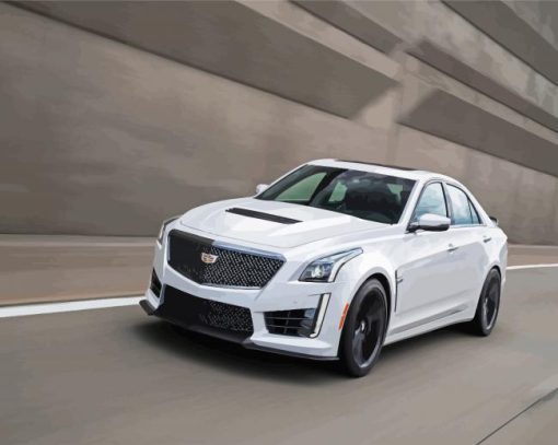 White Cts V paint by number