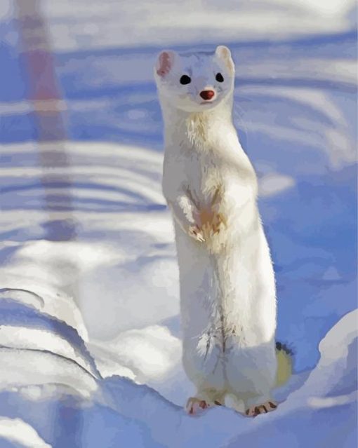 White Weasel paint by number