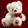 White Teddy Bear paint by numbers