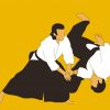 Aikido Sport paint by number