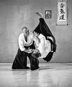 Aikido Techniques paint by number