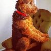 Airedale Terrier Sitting paint by number