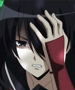 Akame Anime Character paint by number