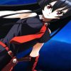 Akame Anime Girl paint by number