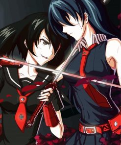 Akame Vs Kurome paint by numbers