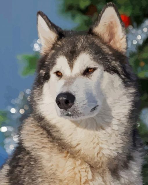 Alaskan Malamute paint by number