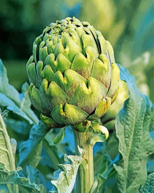 Artichoke Plant paint by number