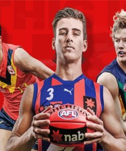 Australian Football League Sport Players paint by numbers