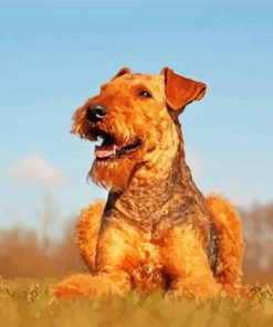 Beautiful Airedale Terrier paint by number