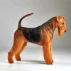 Black And Brown Airedale Terrier paint by number