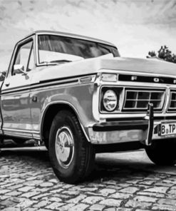 Black And White Ranchero paint by number