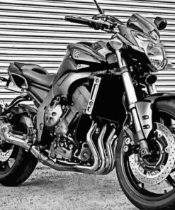 Black And White Yamaha FZ1 Fazer paint by numbers