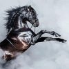 Black Andalusian Horse And Smoke paint by numbers