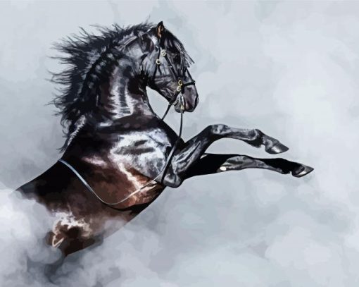 Black Andalusian Horse And Smoke paint by numbers