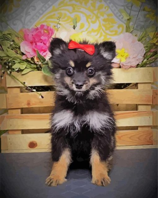 Black Maltipom Puppy paint by number