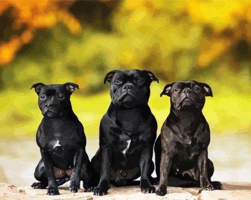 Black Staffies Dogs paint by number