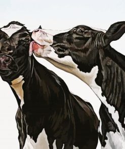 Black And White Cows paint by number