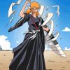 Bleach Ichigo Female paint by number