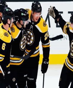 Boston Bruins Hockey Players paint by number