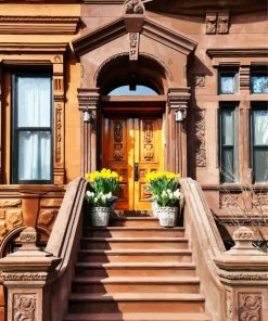 Brownstone And Wooden Door paint by number