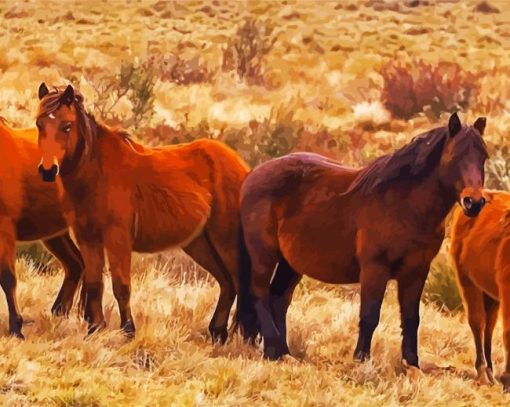 Brumby Horses Herd paint by number