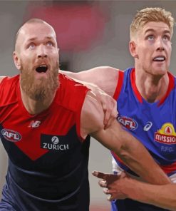 Bulldogs Vs Melbourne AFL Players paint by numbers