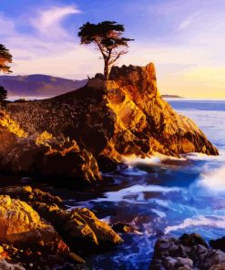 California Monterey Lone Cypress paint by numbers