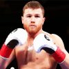 Canelo Alvarez Boxer paint by numbers