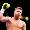 Canelo Alvarez Boxer paint by numbers