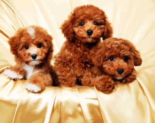 Cavoodle Dogs Family paint by number