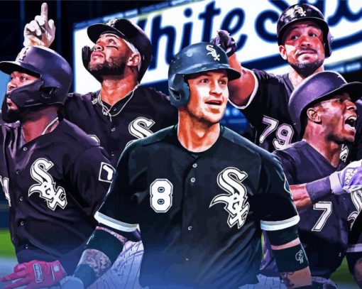 Chicago White Sox paint by numbers