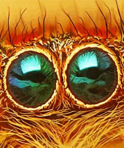 Close Up Spider Eye paint by number