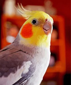 Cockatiel Bird paint by numbers