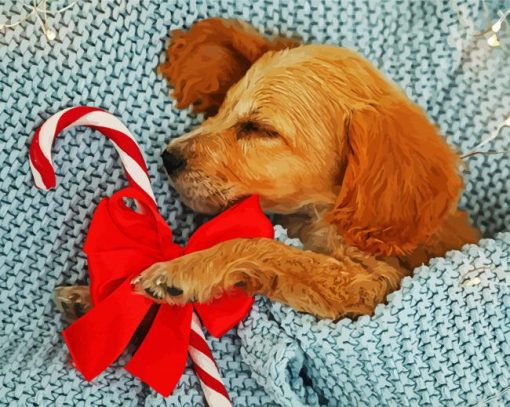 Cocker Spaniel Puppy paint by number