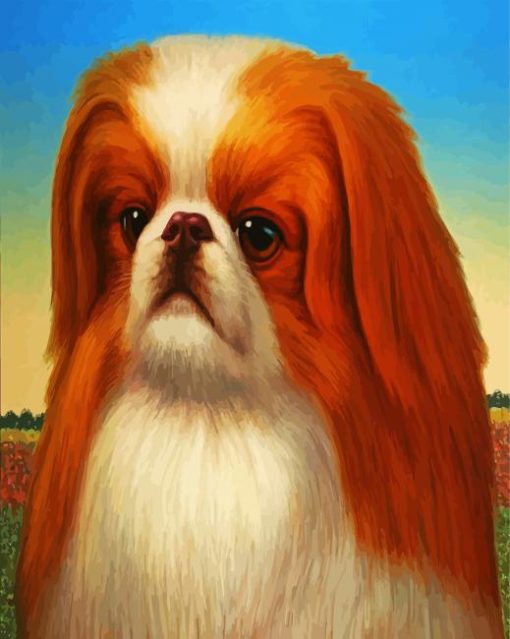 Cute Pekingese Dog paint by number