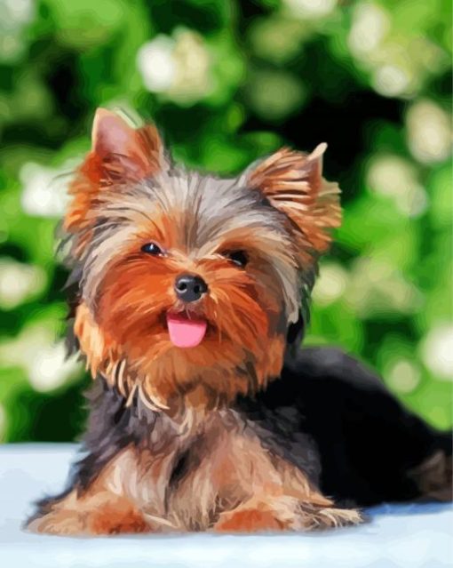 Cute Yorkies Dog paint by numbers