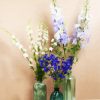 Delphinums In Glass Bottles paint by numbers