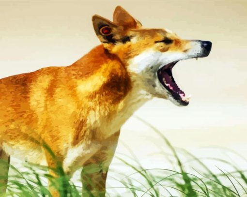 Dingo Australian Dog paint by number