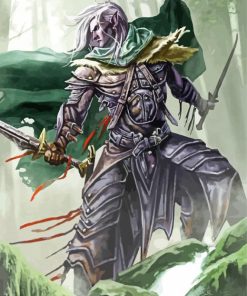 Drizzt paint by number