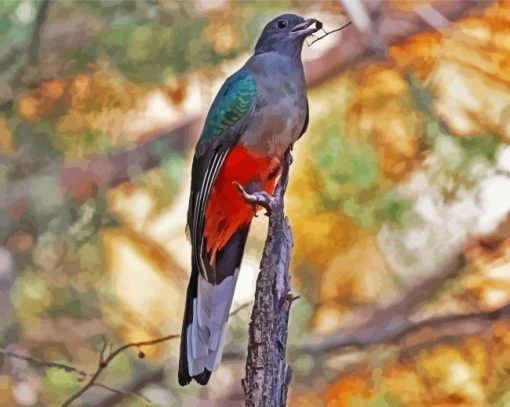 Eared Quetzal Bird paint by numbers