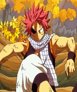 Fairy Tail Anime Natsu Dragneel paint by numbers