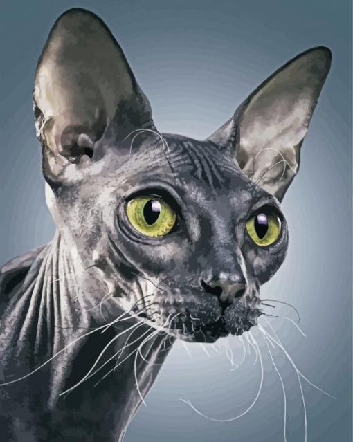 Grey Sphynx paint by numbers